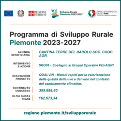 box per la regione (400x400px) (1)